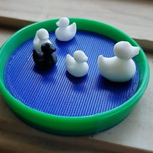 duck pond models 3d print model - Mito3D