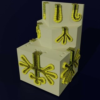 kanallar bezler tip basit bileşik alveol boru şeklinde harman anatomi Biyoloji Bilim histoloji tıbbi 3d print model - Mito3D