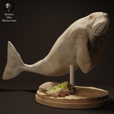 dugongo animale compagno lamantino mare mucca oceano acqua selvaggio fauna selvatica creatura realistico scultura figurina figura miniatura 3d print model - Mito3D