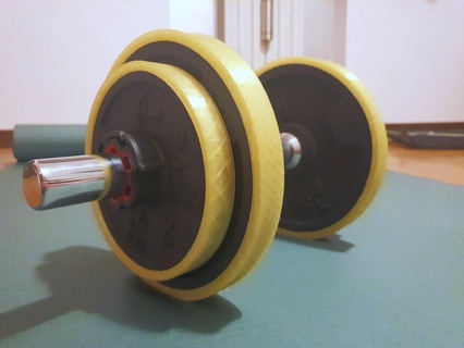 dumbbells weights bumpers gym bodybuilder decathlon dumbells dumbell exercise fitness sport 3d print model - Mito3D