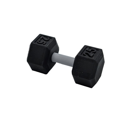 dummbell 20 pound dumbbell 25 fitness crossfit gym rat enthusiast weight weightlifting barbell mini 3d print model - Mito3D