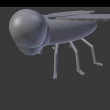 dung fly various insect fly 3d print model - Mito3D