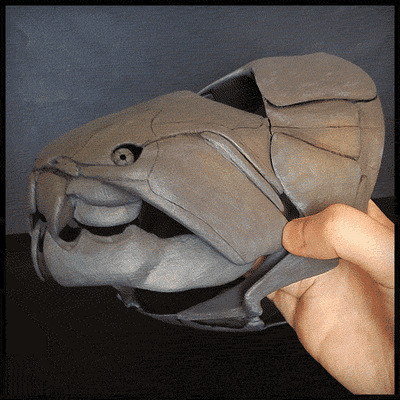 dunkleosteus pez placodermo fósil fosil paleontología escultura cráneo hueso 3d print model - Mito3D