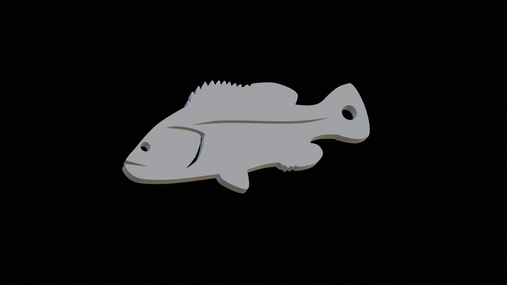 düster zackenbarsch epinephelus randbemerkung fisch 2d schlüsselbund anhänger kunst trophäe angeln hai barsch zander karpfen wels pike bass forelle thunfisch lachs locken köder statue tier dunkler 3d print model - Mito3D