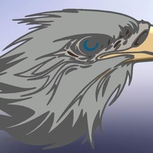 cabeza de águila art las cabezas a los animales águilas aves eagle 3d print model - Mito3D