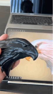 eagle eagle animal wall art america  3d print model - Mito3D