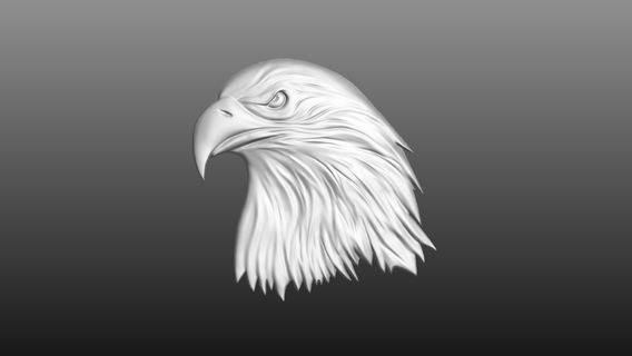 eagle head flat 3d print model - Mito3D
