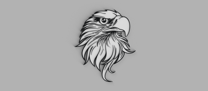 eagle head wall picture 3d print model - Mito3D