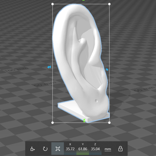 orelha exibição orelha algemas brincos 3d print model - Mito3D