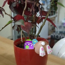 easter bunny bum plant pot decoration egg 3d print model - Mito3D