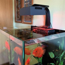ecotech radion xr15w g4 pro led simple light shade home aquarium fish ham radio marine pets 3d print model - Mito3D