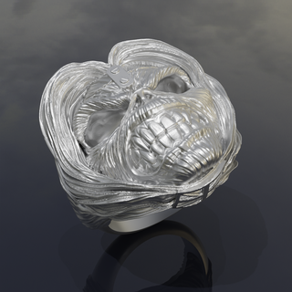 Eddie hierro doncella anillo 3d print model - Mito3D