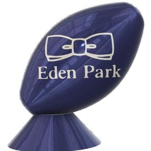 Eden Park Rugby Ball Kunst 3d print model - Mito3D