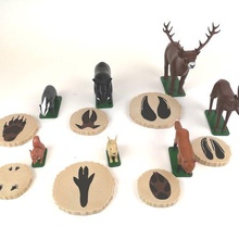 educativo realistico foresta animali 3d print model - Mito3D
