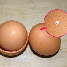 huevo perforador casa cocina comedor de la herramienta 3d print model - Mito3D