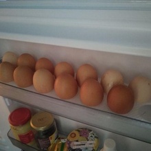 Yumurta tepsi buzdolabı 3d print model - Mito3D