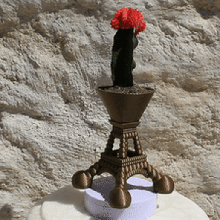 Eiffel Stand Sukkulenten Kaktus saftig Pflanze Natur Turm 3d print model - Mito3D