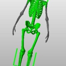 Eifu gadget scheletro Halloween 3d print model - Mito3D