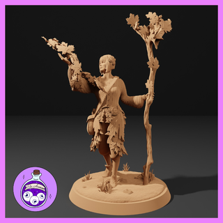 eladrin elf druid female - autumn woman fey fairy hero ttrpg dnd dungeonsanddragons miniature pathfinder 3d print model - Mito3D