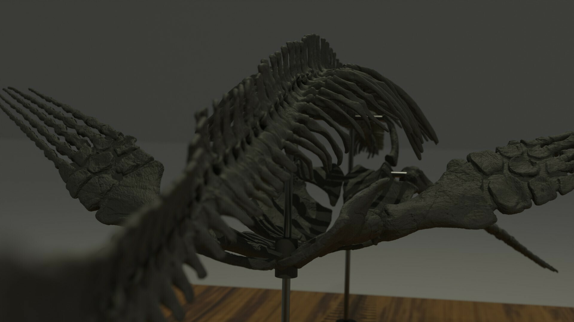 elasmosaurus skeleton part1 Various dinosaur skull plesiosaurus plesio marine marinereptile reptile jurassic triassic 3D print model - Mito3D
