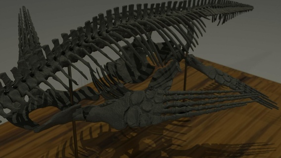 elasmosaurus esqueleto part3 dinossauro crânio plesiossauro marinho réptil jurássico Triássico 3d print model - Mito3D