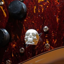 chitarra elettrica cranio interruttore del segnale strumento 3d print model - Mito3D