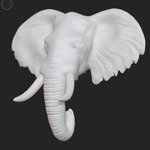 elefante cabeça presa marfim paquiderme 3d print model - Mito3D