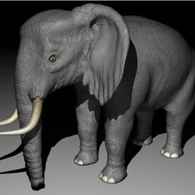 elephant game africa animal zoo 3d print model - Mito3D