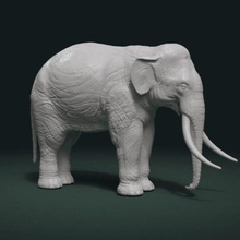 elephant art slon mammal print animal indian 3d print model - Mito3D