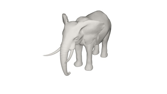 Elefant Tier Säugetier wild Tierwelt Natur Zoo Pelz Wald Bereich drucken Spielzeug 3d print model - Mito3D