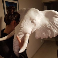Elefant Kopf Teile Fang Elfenbein Dickhäuter Ornament Skulptur 3d print model - Mito3D
