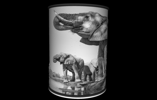 l'éléphant lampe lithophanie éclairage LED lumière film animaux animal 3d print model - Mito3D