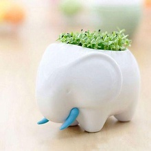 l'éléphant pot 3d print model - Mito3D