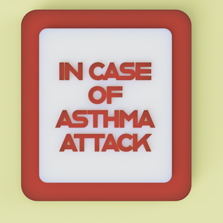emergency inhaler box cover hidden cool gift asthma albuterol wall mount 3d print model - Mito3D