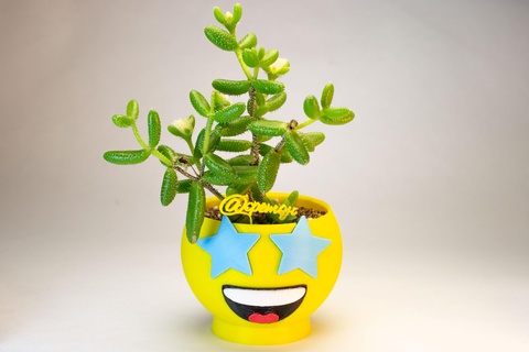 emoji star vase pot cactus succulents love 3d print model - Mito3D