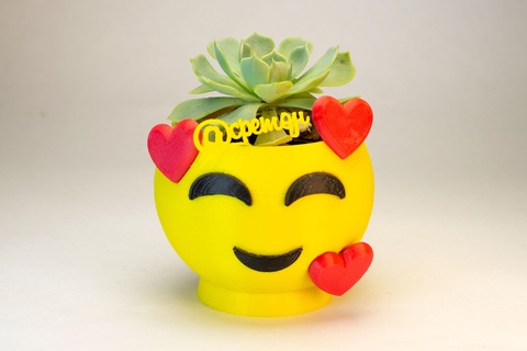 emoji vase love love lovers love pot emoji cactus succulents love love star star  3d print model - Mito3D