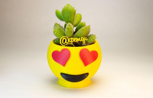 emoji vase l'amour pot cactus succulentes 3d print model - Mito3D