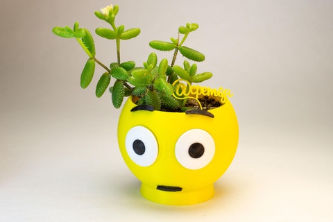 emoji vase surprise pot cactus succulents love star kiss 3d print model - Mito3D