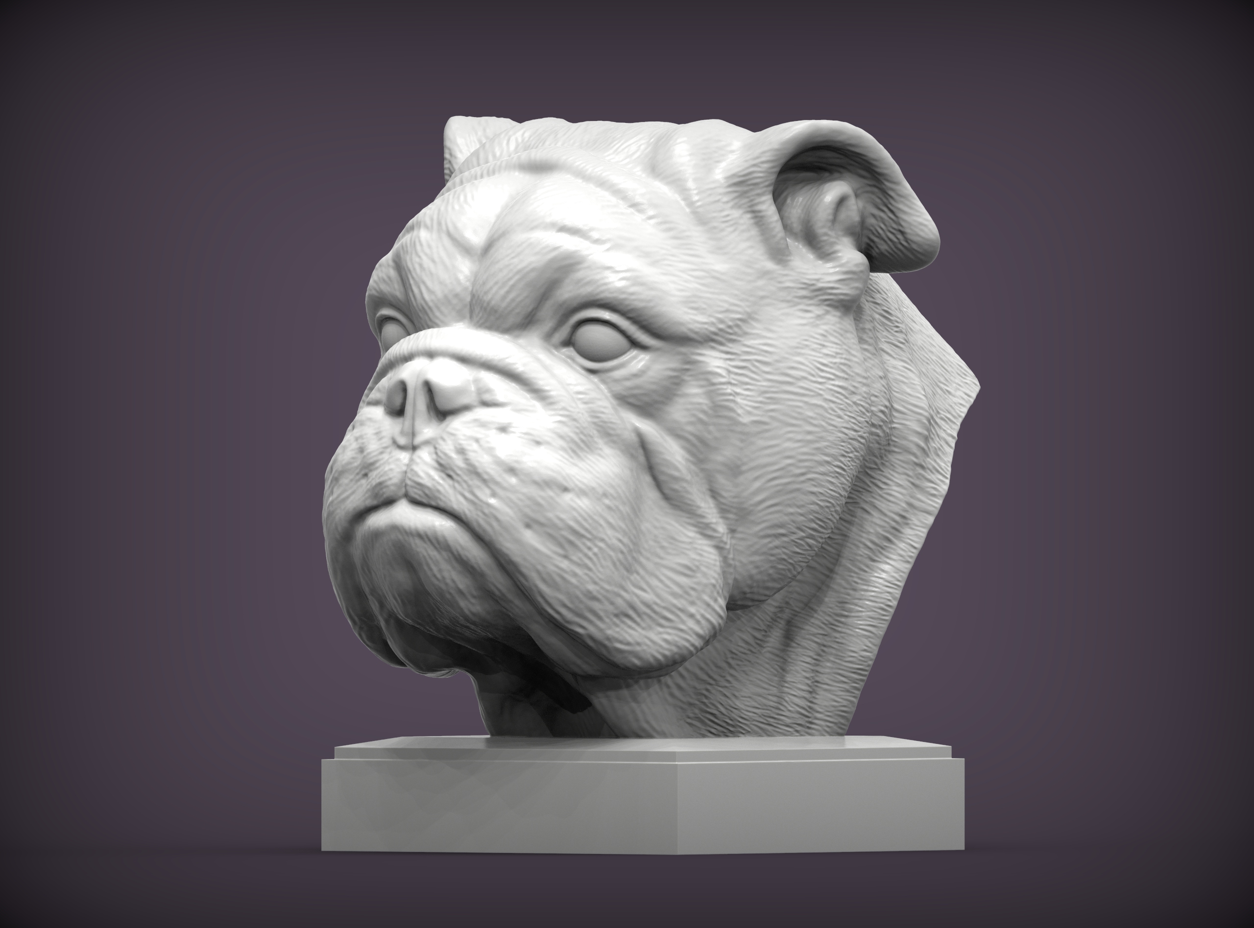 english bulldog 3d print model Art british englishbulldog dog nature mammal animal home pet sculpture souvenir sculpt sculptures statue art bust 3D print model - Mito3D