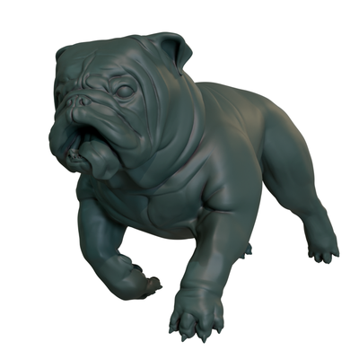 english bulldog running art animal mammal biology dog pet 3d print model - Mito3D