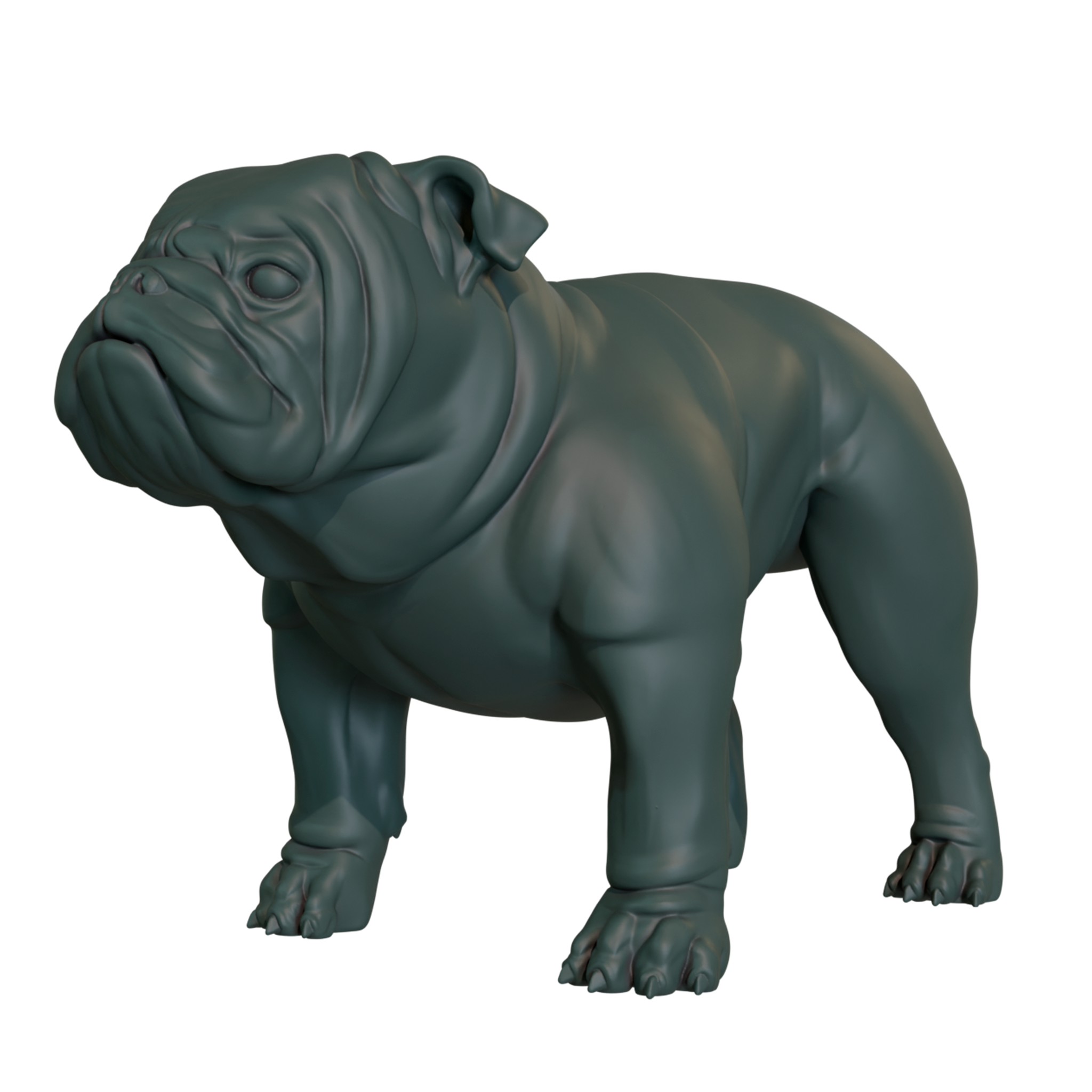 inglese bulldog in piedi posa arte animale mammifero biologia cane domestico 3D print model - Mito3D