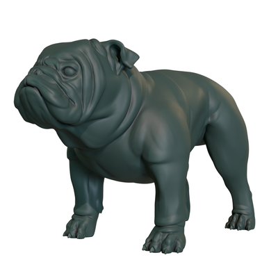 anglais bouledogue supporter pose art animal mammifère biologie chien compagnie 3d print model - Mito3D
