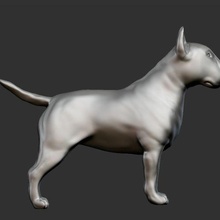 Inglese Bull terrier 3d modello stl arte animale cane scultura 3d print model - Mito3D