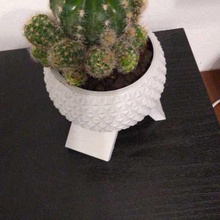 epcot flower pot home succulent 3d print model - Mito3D