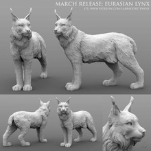 eurasian lynx game dnd labradoritewolf dungeons dragons tabletop mini creature miniature animal familiar companion wild shape wildshape cat big european d&d 3d print model - Mito3D