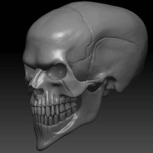 kötü kafatası 3d yazıcı konsept sanat insanlar iskelet insan baş anatomi 3d print model - Mito3D