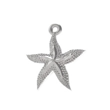 excellent starfish jewelry pendants medallion ocean star sea great beautiful jewel jewellery printable steel metallic metal sterling platinum silver gold pendant 3d print model - Mito3D