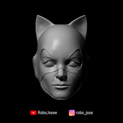 exclusive catwoman v1 dc comics head action figure game mcfarlane toys sculpt mezco hasbro custom 3d print model - Mito3D