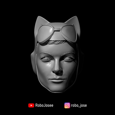 exclusivo catwoman v2 dc historietas cabeza acción figura juego mcfarlane juguetes esculpir mezco hasbro personalizado 3d print model - Mito3D