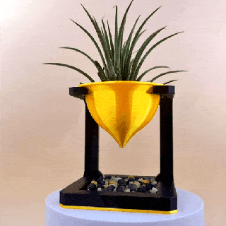 exklusiv griechisch Modell eingetopft Pflanzen Dekoration Sukkulenten saftig Vase Pflanze Valentinstag 3d print model - Mito3D